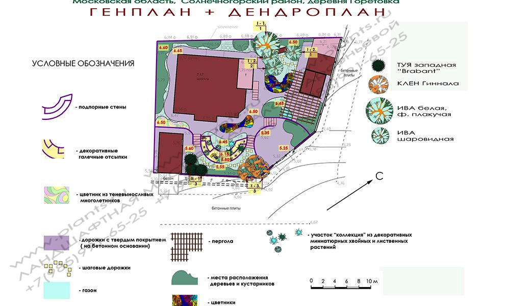 Проект дачного участка 6 соток с уклоном - ГЕНПЛАН